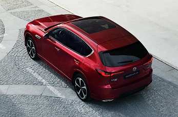 THE BEAUTY OF DIGNIFIED ELEGANCE