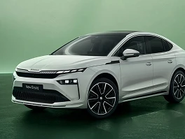 Tech-Deck Face and Škoda bonnet lettering